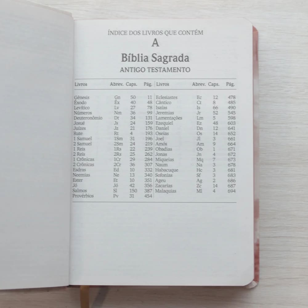 bíblia leão de judá, bíblia sagrada nvi, bíblia letra grande, bíblia letra maior, bíblia capa dura ilustrada, bíblia leão de judá capa dura, bíblia nvi leão de judá, bíblia estilizada, bíblia com capa bonita, bíblia evangélica leão de judá, bíblia presente masculino, bíblia moderna nvi