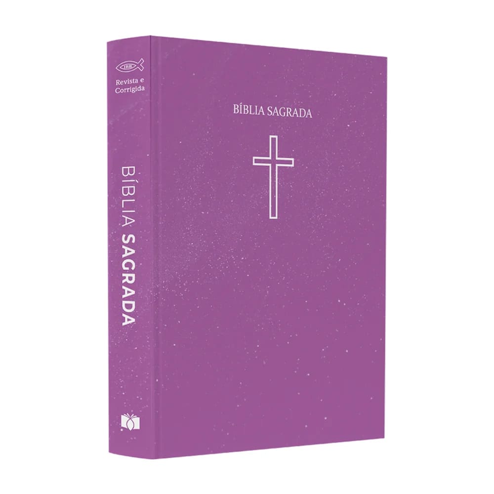 bíblias sagradas, bíblia ARC, box de bíblias, bíblia capa brochura, evangelização, ministério, igreja, bíblia letra pequena, presente cristão