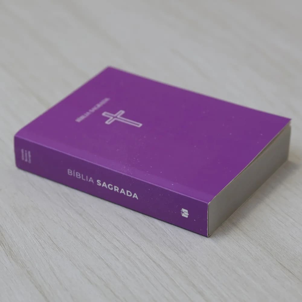 bíblias sagradas, bíblia ARC, box de bíblias, bíblia capa brochura, evangelização, ministério, igreja, bíblia letra pequena, presente cristão