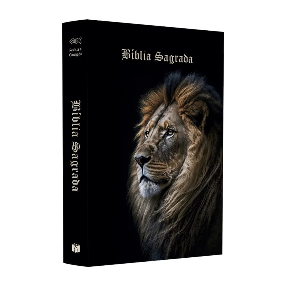 bíblias sagradas, bíblia ARC, box de bíblias, bíblia capa brochura, evangelização, ministério, igreja, bíblia letra pequena, presente cristão