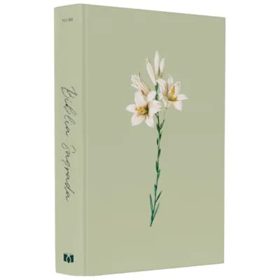 bíblia sagrada lírios, bíblia floral nvi, bíblia letra grande nvi, bíblia evangélica capa flores, bíblia brochura feminina, bíblia presente delicado, bíblia nvi estampa lírios, bíblia sagrada feminina nvi, bíblia com letra ampliada, bíblia com capa florida