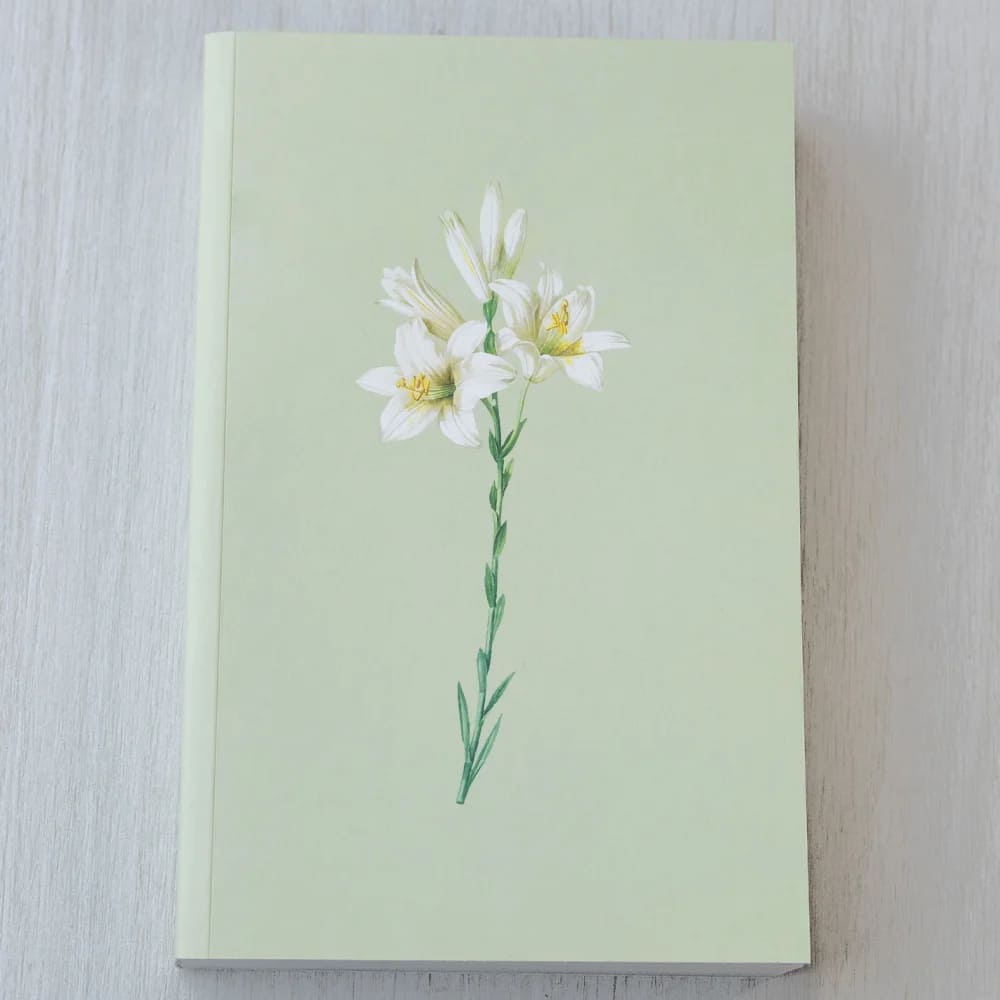 bíblia sagrada lírios, bíblia floral nvi, bíblia letra grande nvi, bíblia evangélica capa flores, bíblia brochura feminina, bíblia presente delicado, bíblia nvi estampa lírios, bíblia sagrada feminina nvi, bíblia com letra ampliada, bíblia com capa florida