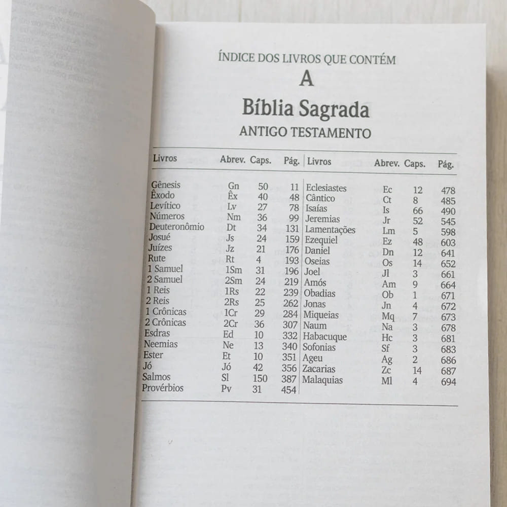 bíblia sagrada lírios, bíblia floral nvi, bíblia letra grande nvi, bíblia evangélica capa flores, bíblia brochura feminina, bíblia presente delicado, bíblia nvi estampa lírios, bíblia sagrada feminina nvi, bíblia com letra ampliada, bíblia com capa florida