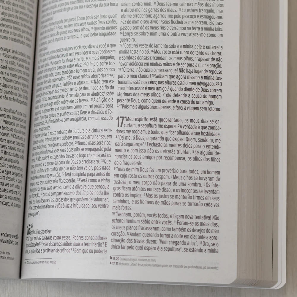 bíblia no banquinho, bíblia nvi brochura, bíblia evangelize, geográfica editora, anderson careca, bíblia para evangelismo, arte urbana cristã, bíblia capa exclusiva, nova versão internacional, bíblia para distribuição